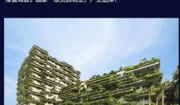 中山碧桂园爆料最新消息