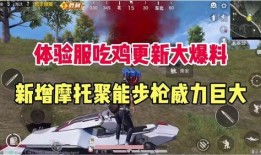 和平精英视频大爆料,精彩视频带你领略游戏新篇章