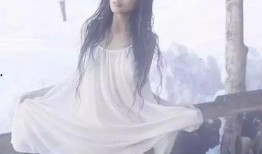 坛蜜手机在线观看,独家揭秘热门视频背后的精彩故事