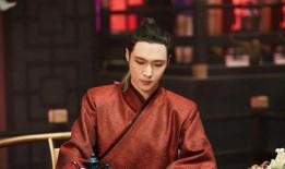 娱乐圈爆料者 魏冉,揭秘明星幕后故事