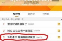 卓伟爆料桃花树视频,桃花树下惊现神秘视频，真相即将揭晓