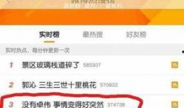 卓伟爆料桃花树视频,桃花树下惊现神秘视频，真相即将揭晓