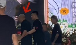 老汪爆料杨少华视频全集,杨少华经典视频全集大曝光