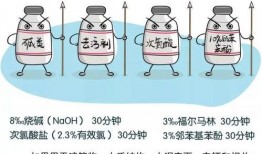 非洲猪瘟最新爆料,揭秘病毒传播与防控策略
