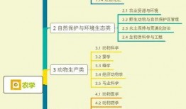 文玩大师爆料视频大全集,视频大全集深度解析