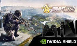 荒野行动新皮肤最新爆料,炫酷造型引玩家热议