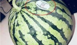 网红黑了吃瓜,揭秘网络舆论背后的真相