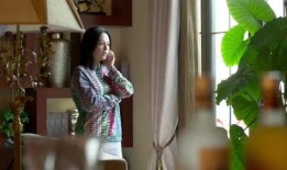 继子爆料母亲视频大全在线观看,揭秘家庭丑闻背后的真相