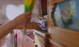 一村之长之皆大欢喜在线观看,一村之长智慧治理的乡村传奇