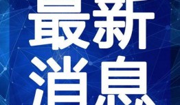最新黑匣子爆料新闻视频,揭秘事故真相，视频揭示惊人内幕