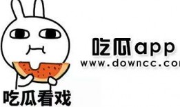 那些吃瓜退网的网红,揭秘网络红人背后的真相与反思