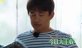 黄磊娱乐圈爆料视频全集,揭秘明星幕后真相，全集内容深度解析