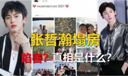 顶流塌房爆料最新,揭秘娱乐圈背后的真相与反思