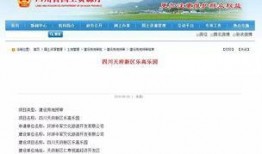 天府最新爆料信息,揭秘神秘项目，未来科技发展再掀热潮