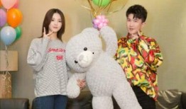 娱乐圈吃瓜熊,揭秘明星背后的故事与真相