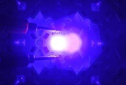 紫光灯网红爆料视频,揭秘幕后真相